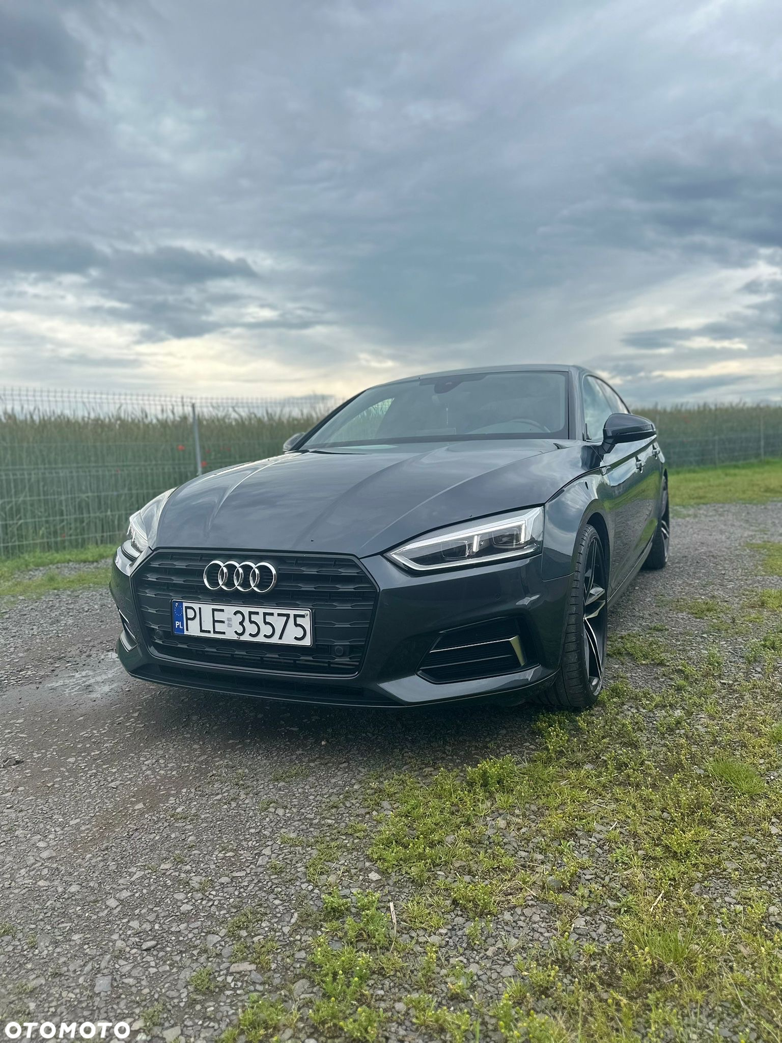 Audi A5 Sportback 2.0 TFSI S tronic - 12