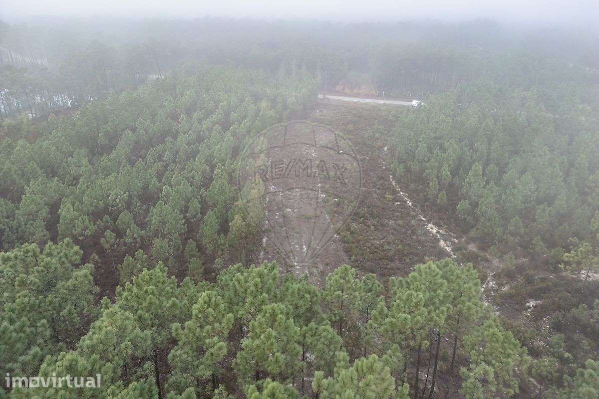 Terreno  para venda - Grande imagem: 5/11