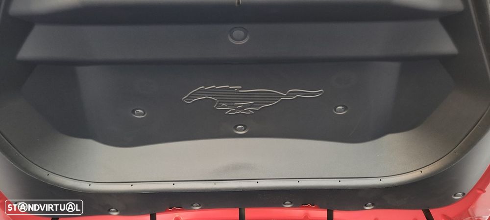 Ford Mustang Mach-E Standard - 49