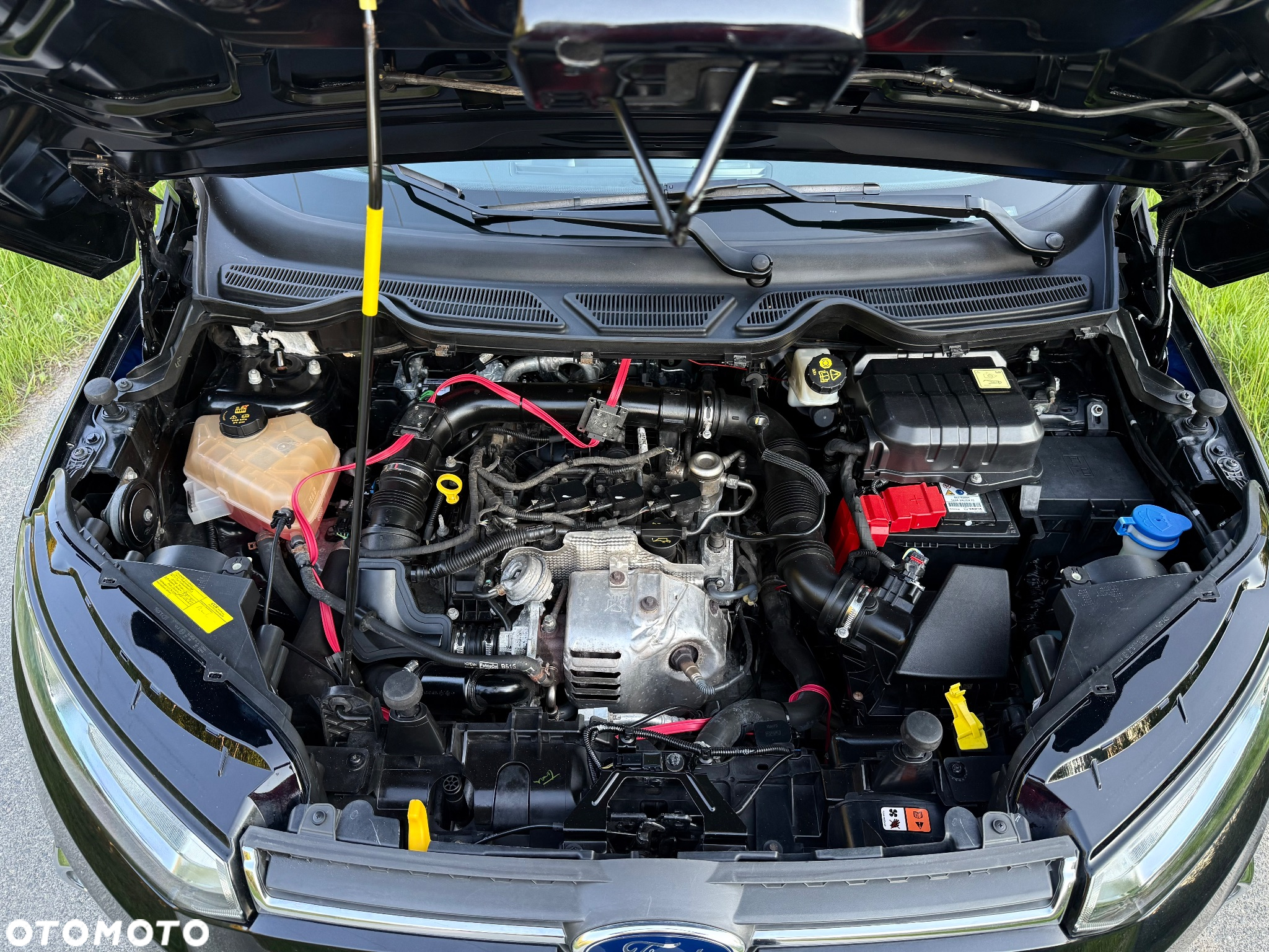 Ford EcoSport 1.0 EcoBoost GPF Titanium ASS - 9