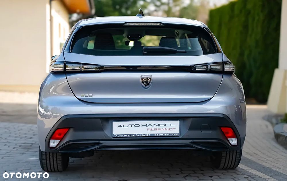 Peugeot 308 1.5 BlueHDi Active Pack S&S EAT8 - 19