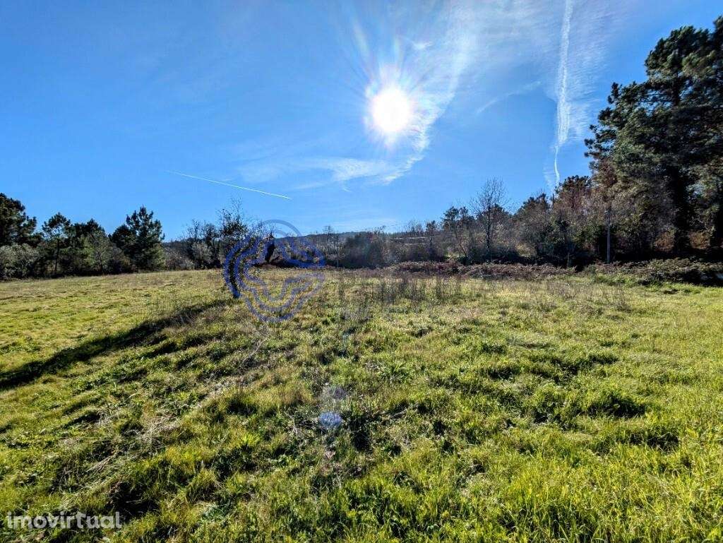 TERRENO URBANIZÁVEL PLANO EM TRAGOS, MANGUALDE - Grande imagem: 2/19