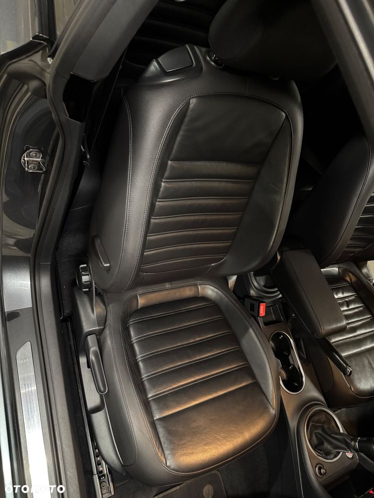 Volkswagen Beetle - 14