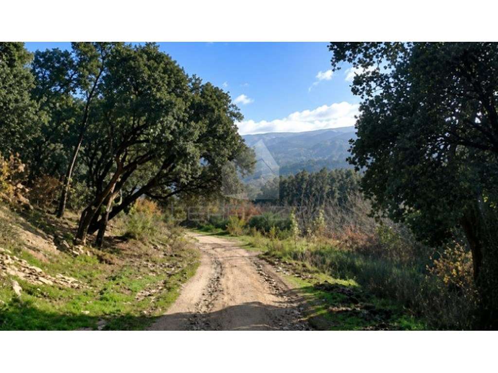 Quinta em Marco de Canaveses (22 artigos) junto ao Rio Douro - Grande imagem: 3/10