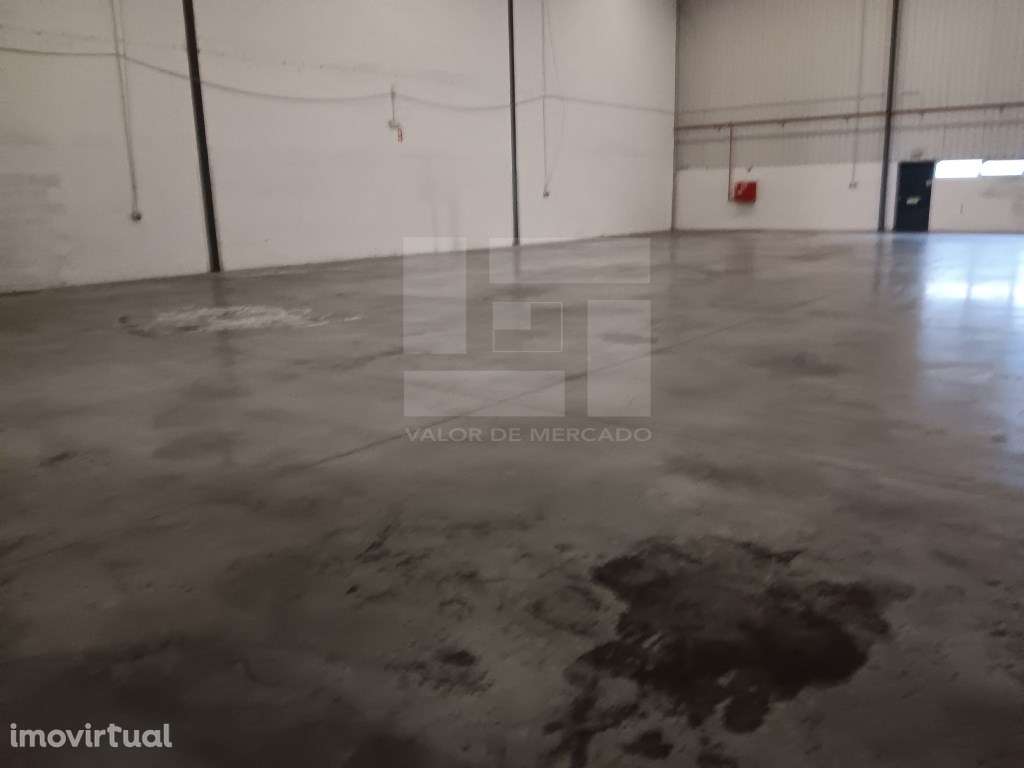 ARMAZÉM PARA ARRENDAMENTO - B 08 - Grande imagem: 4/22