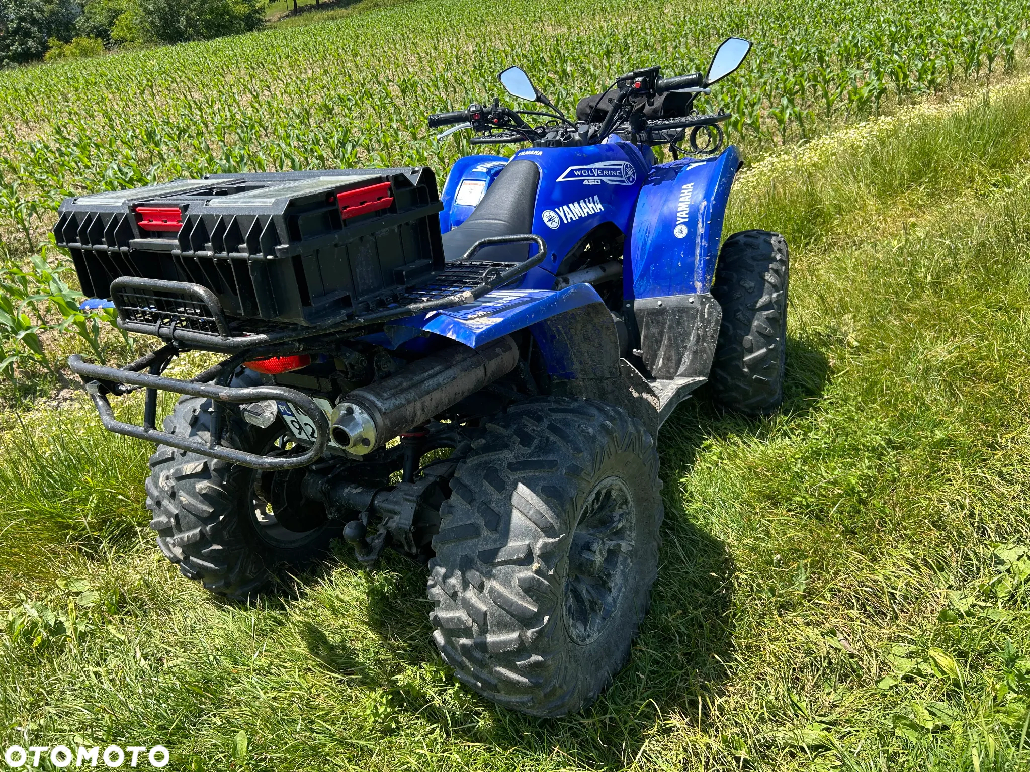 Yamaha Wolverine - 7