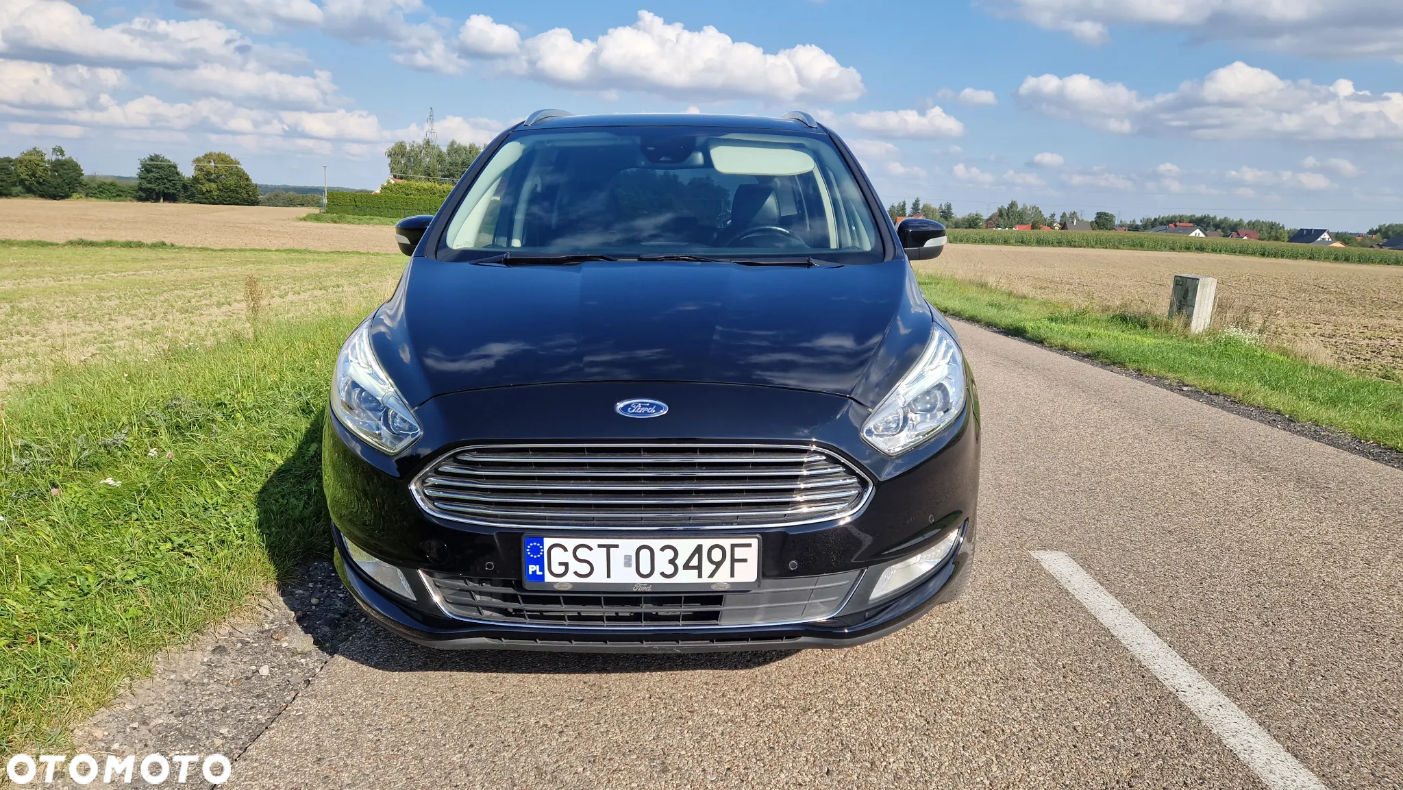 Ford Galaxy 2.0 EcoBlue Titanium - 2