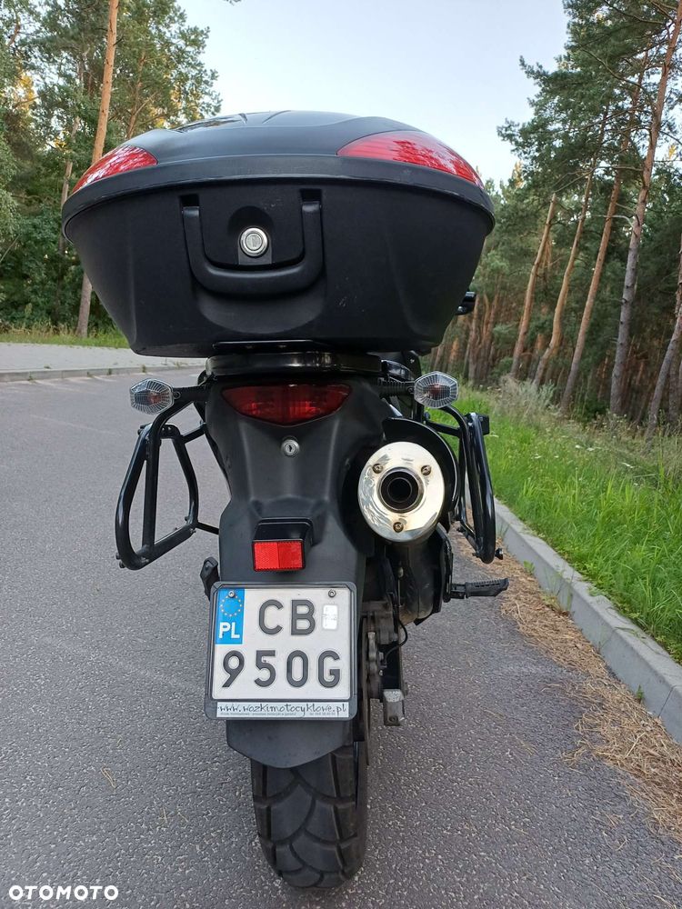 Suzuki DL - 23