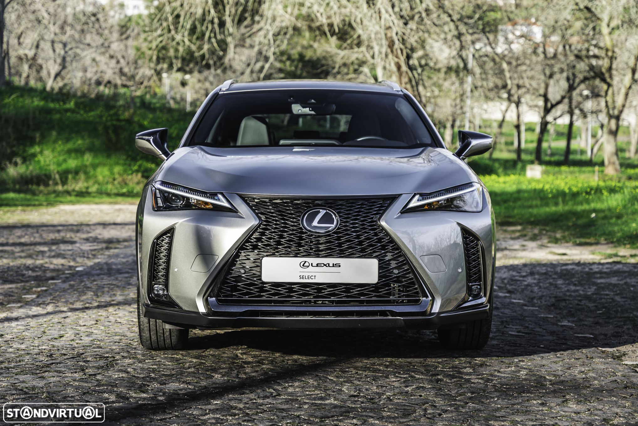 Lexus ux-250h - 5
