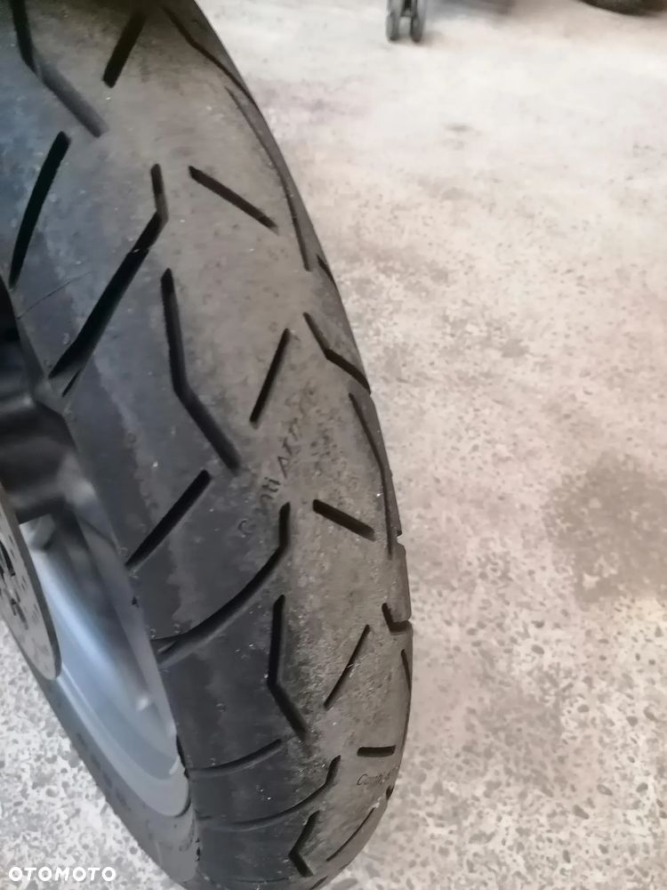 Triumph Tiger - 11