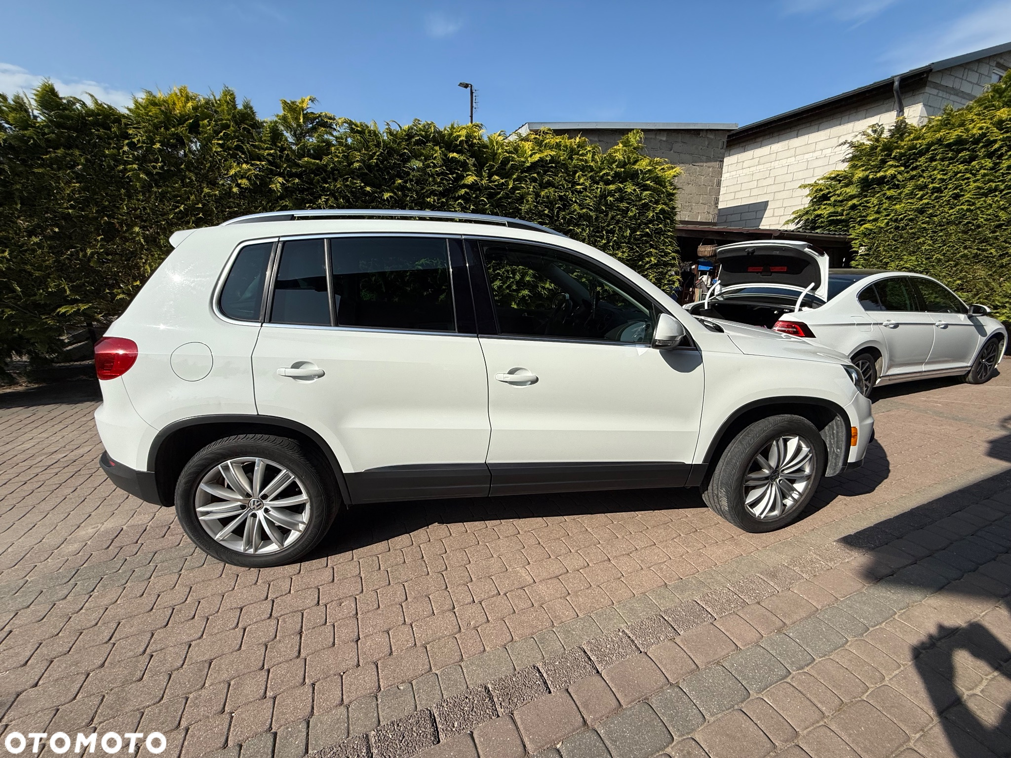 Volkswagen Tiguan - 3
