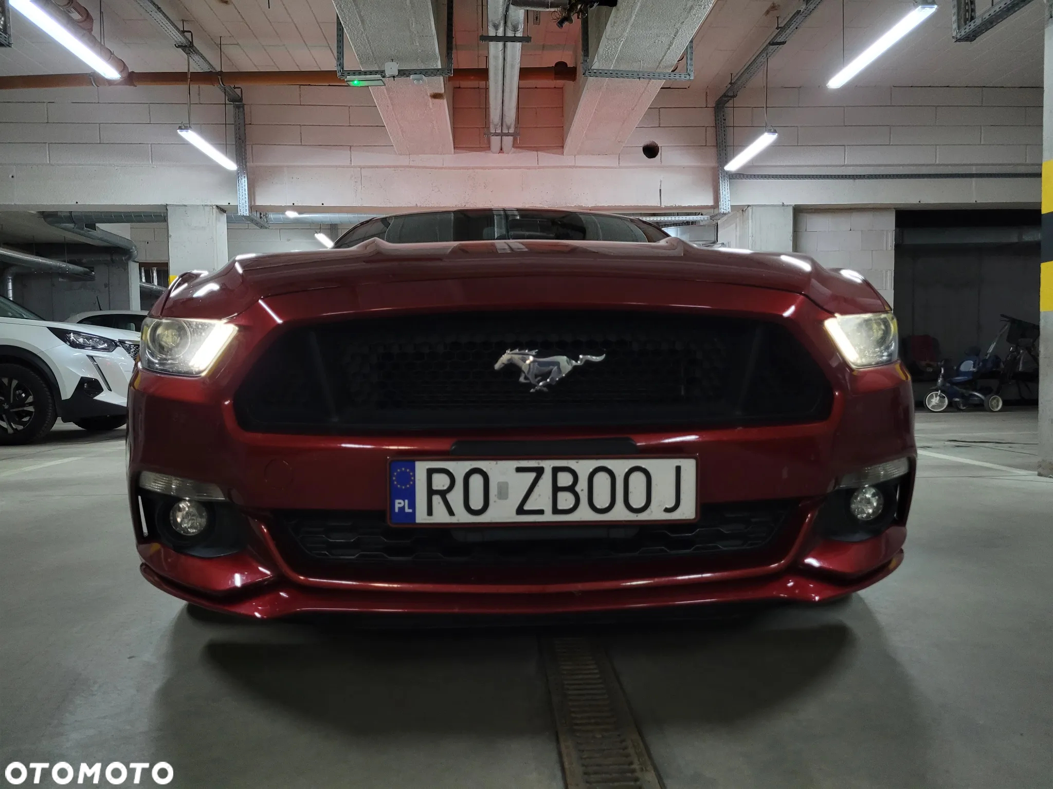 Ford Mustang - 10