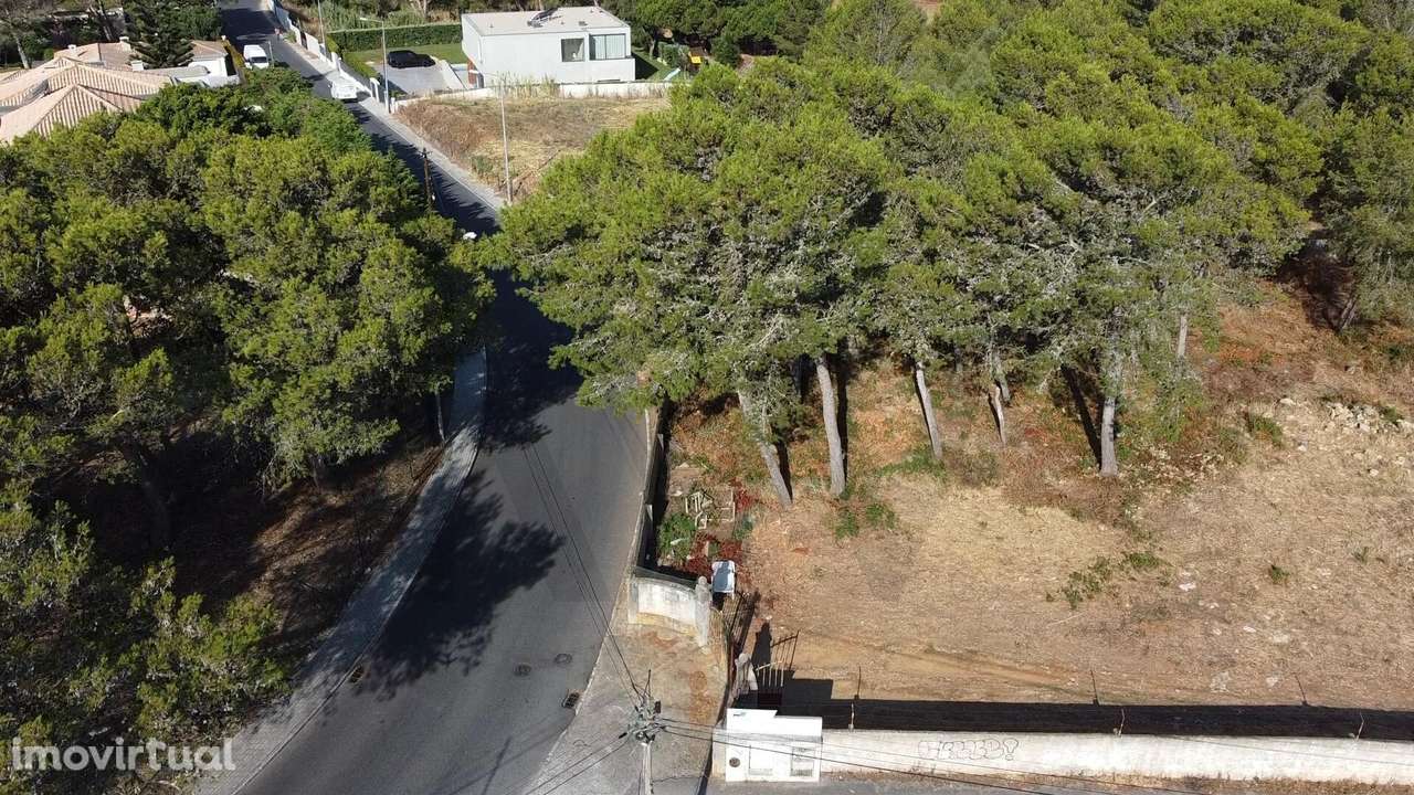 Terreno Urbano com 7.586 m2 para Construção em Birre, Cascais - Grande imagem: 4/11