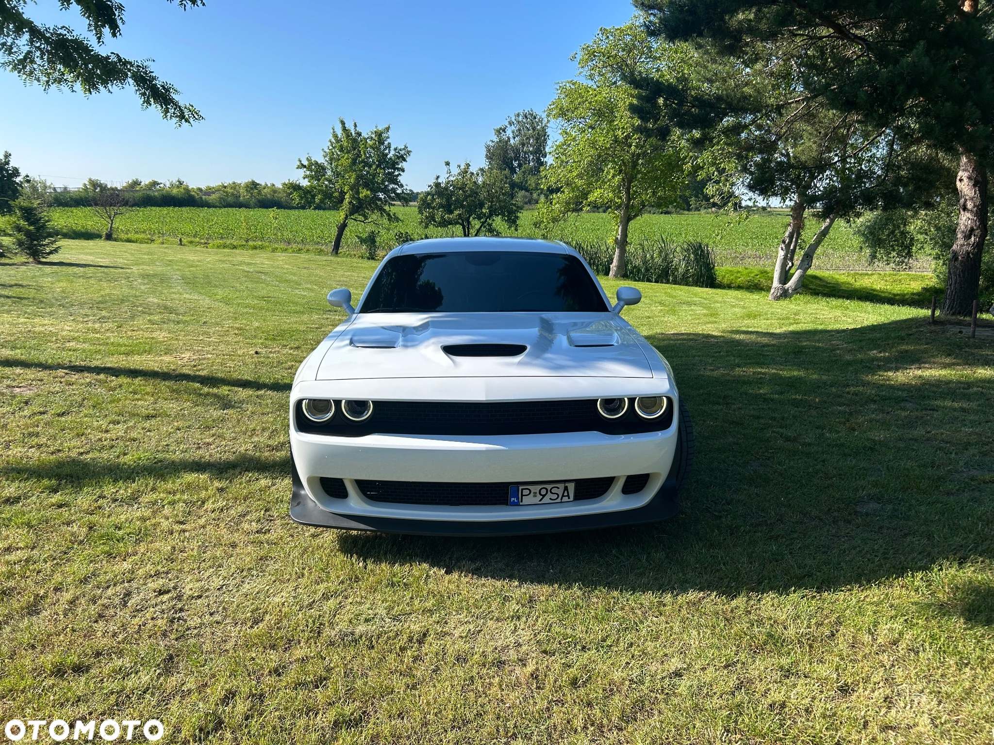 Dodge Challenger 6.4 Scat PackWidebody - 2