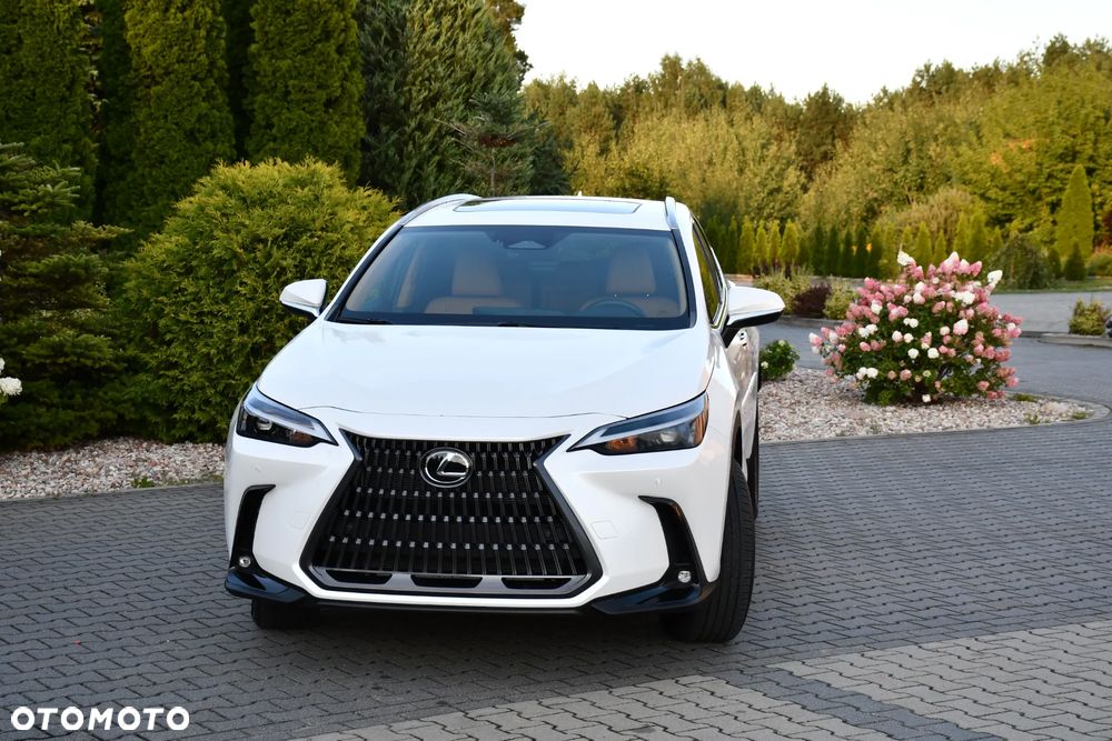Lexus NX - 3