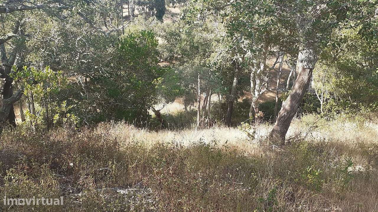 Terreno  para venda - Grande imagem: 4/8