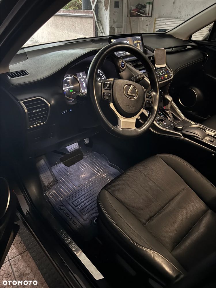 Lexus NX - 12