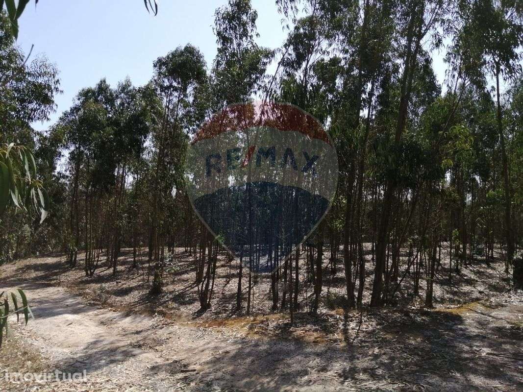 Terreno  para venda - Grande imagem: 2/9