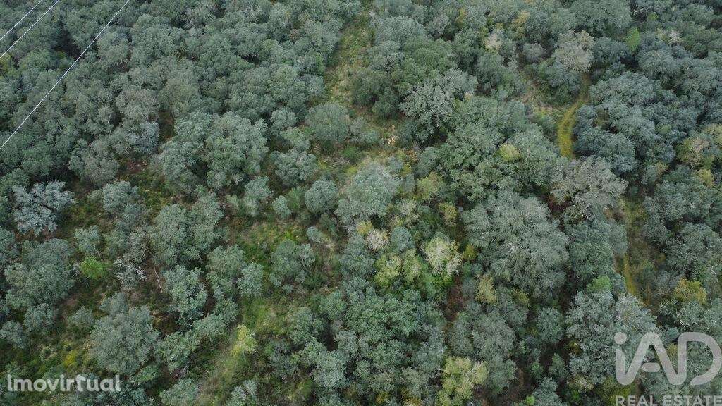 Terreno em Areias e Pias de 1080,00 m2 - Grande imagem: 2/21