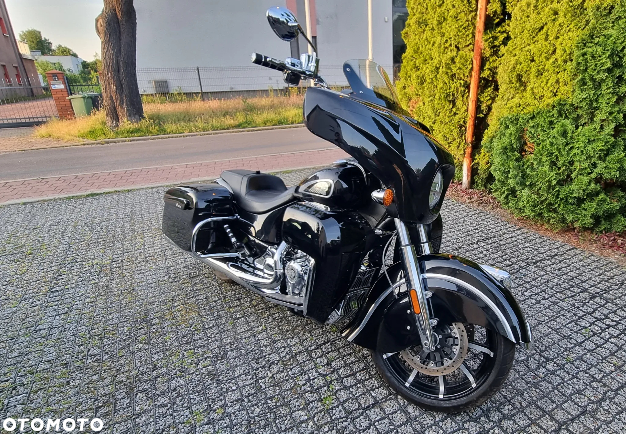 Indian Chieftain - 2