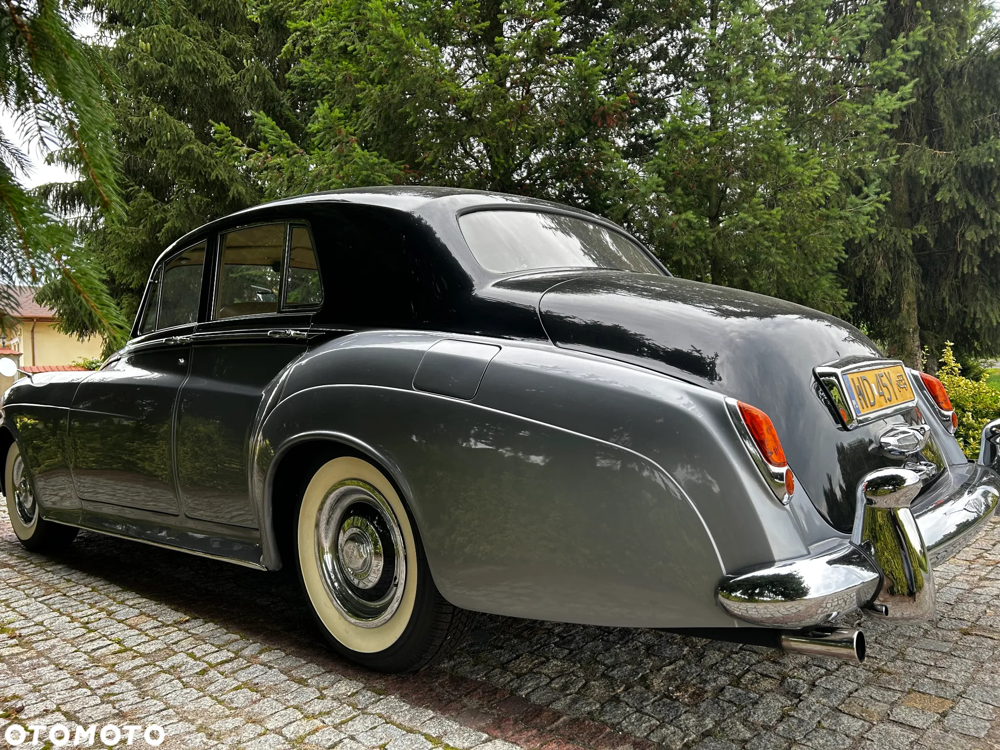 Bentley Inny - 3