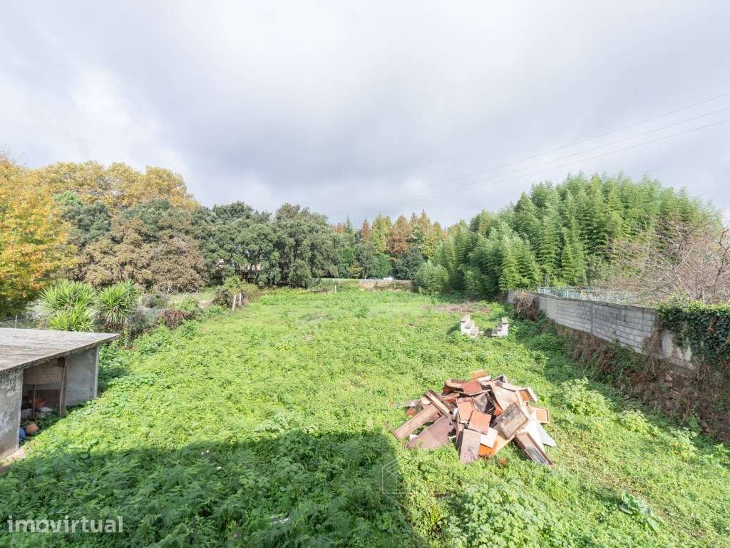 Moradia isolada com 3.000 m2 de terreno para venda em Santa Maria d... - Grande imagem: 3/27