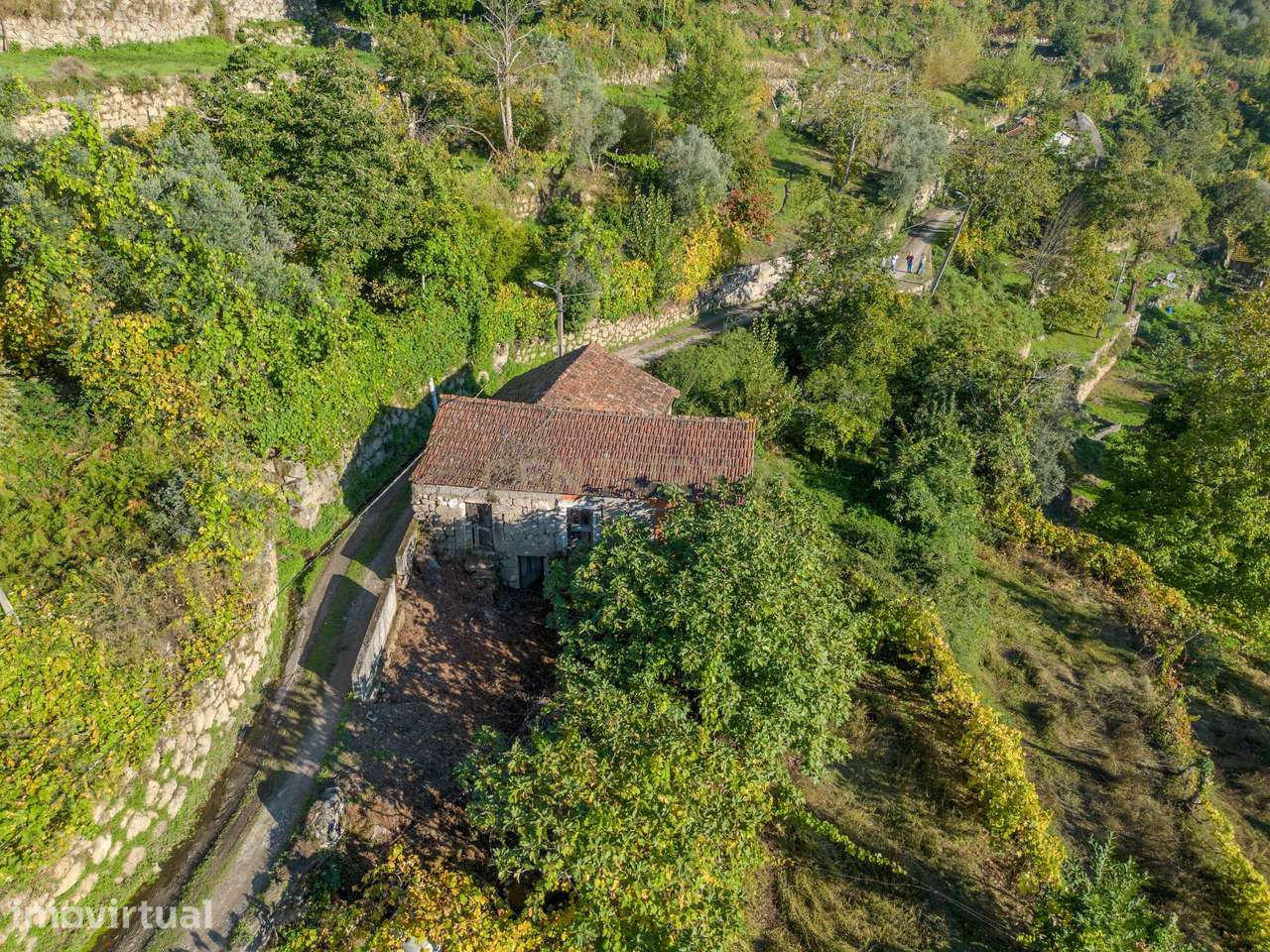 Quinta com 2,8 ha e Casa em Ruína para Recuperar – Covelas, Cinfães (V - Grande imagem: 2/13