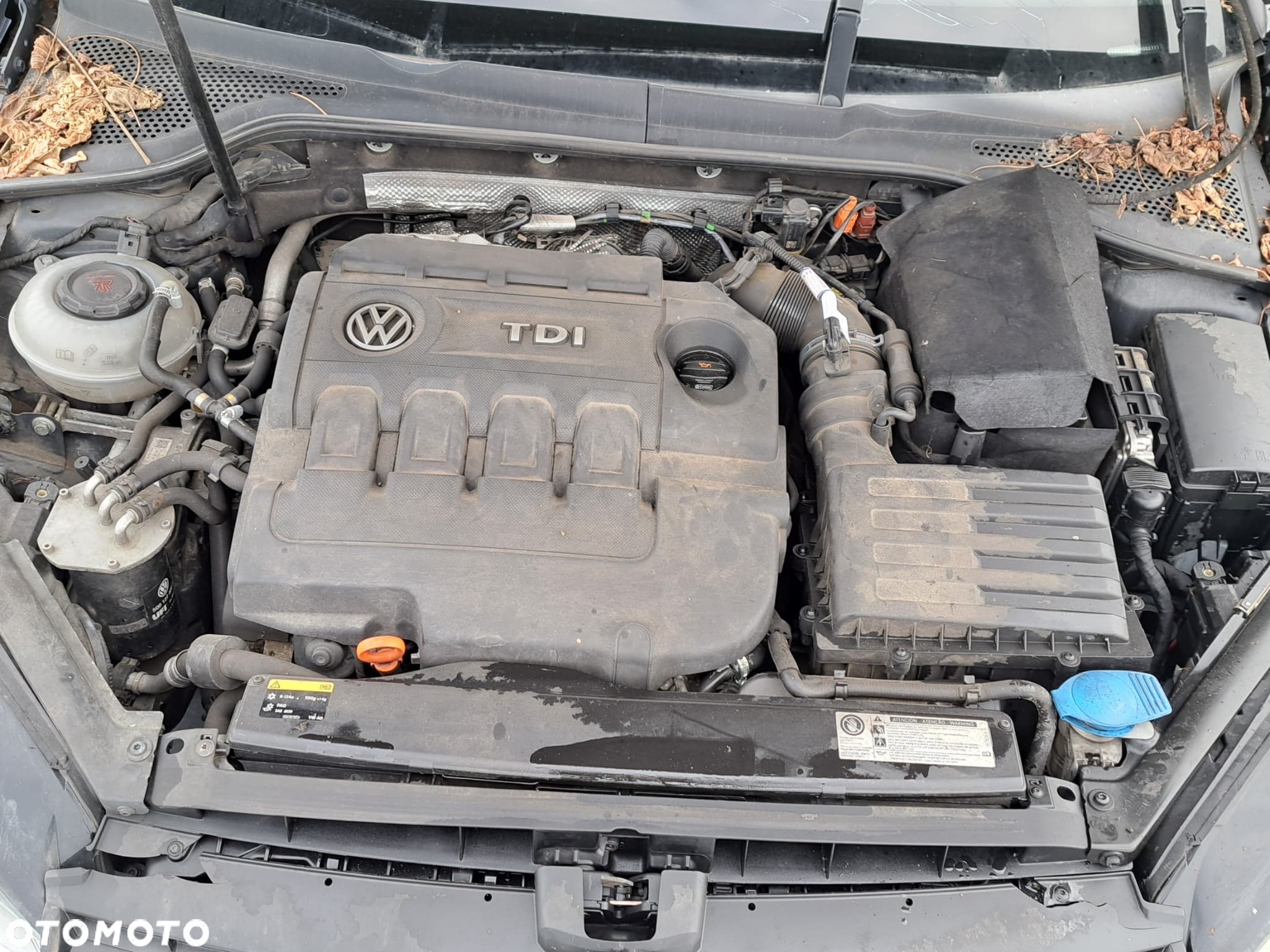 Volkswagen Golf - 7