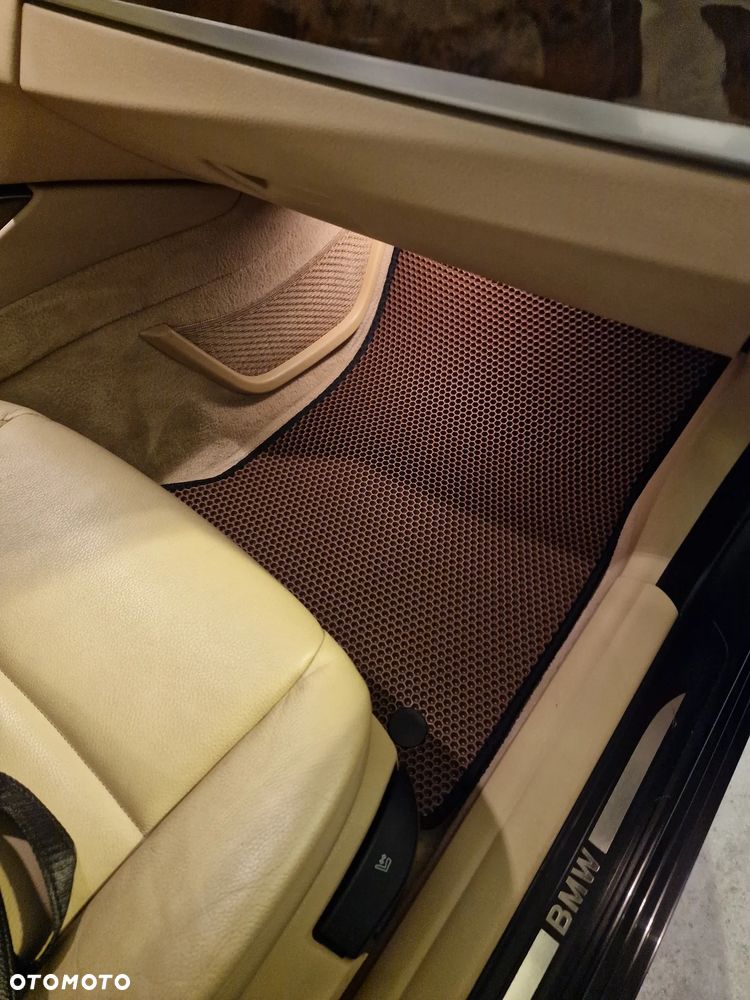 BMW Seria 5 525d - 20
