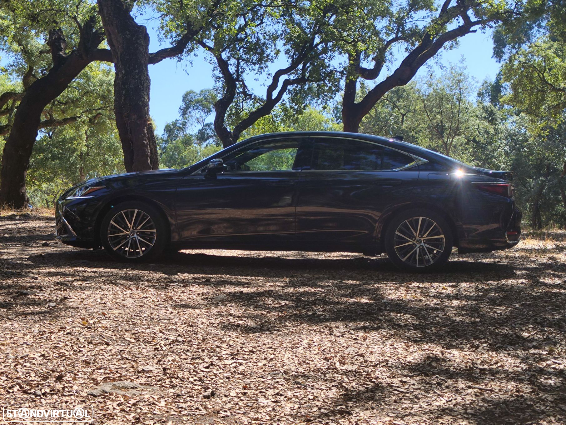 Lexus ES 300h Special Edition - 8