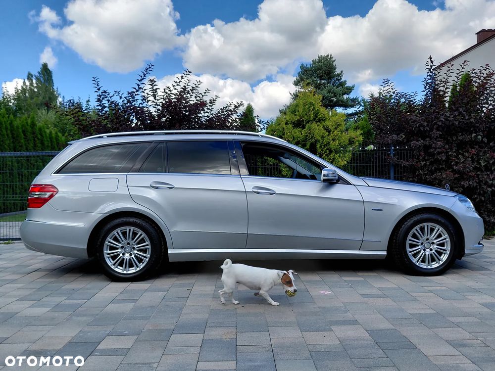 Mercedes-Benz Klasa E 300 CDI DPF BlueEFFICIENCY 7G-TRONIC Elegance - 7