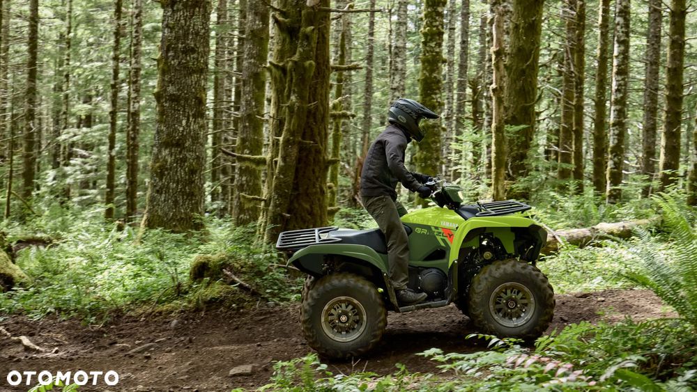 Yamaha Grizzly - 6