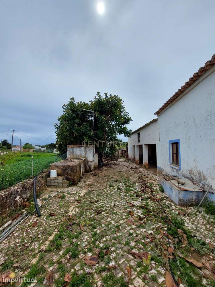Moradia T4 em Barão de São Miguel, na freguesia de Vila do Bispo, Lago - Grande imagem: 3/11