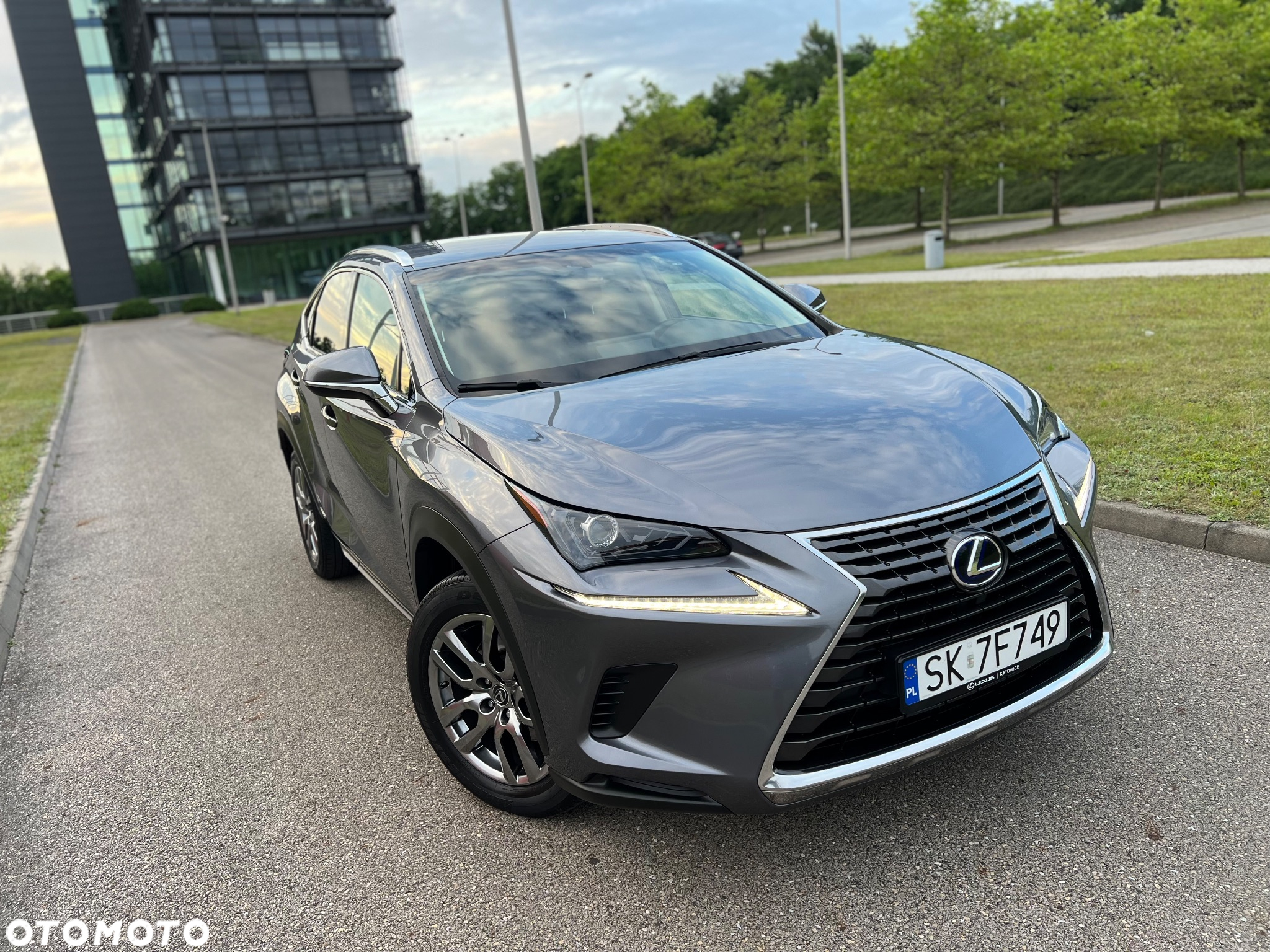 Lexus NX 300h Business Edition AWD - 13