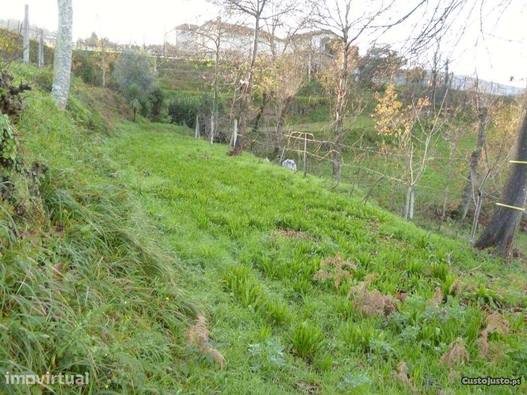 Terreno em Felgueiras - Grande imagem: 5/6