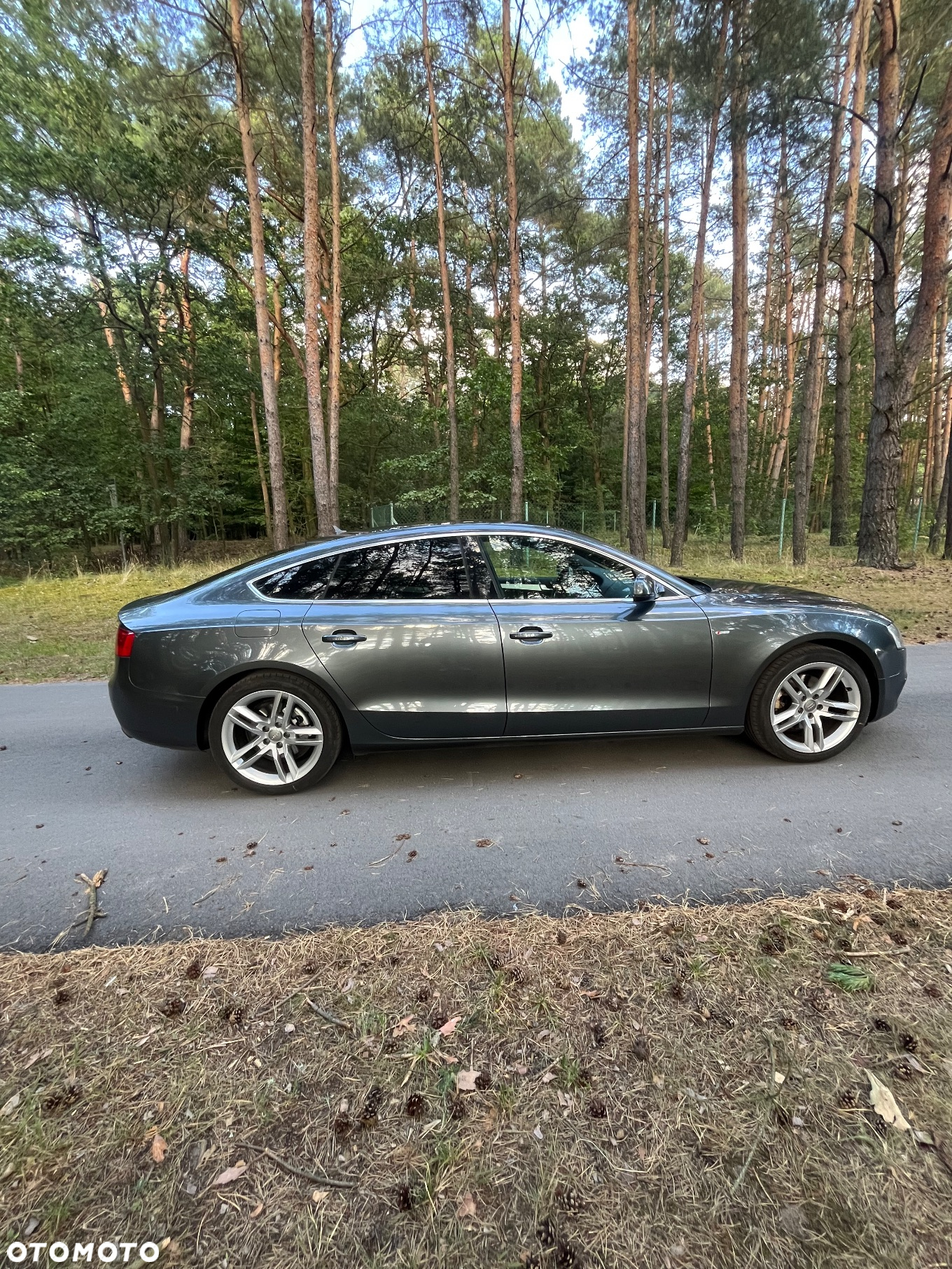 Audi A5 1.8 TFSI Sportback - 8