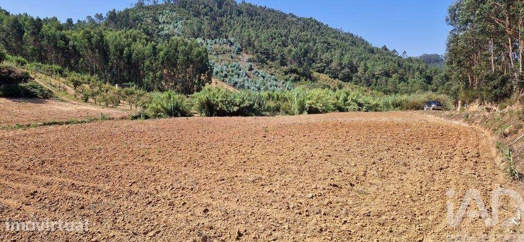 Terreno em Azueira e Sobral da Abelheira de 26562,00 m2 - Grande imagem: 2/29
