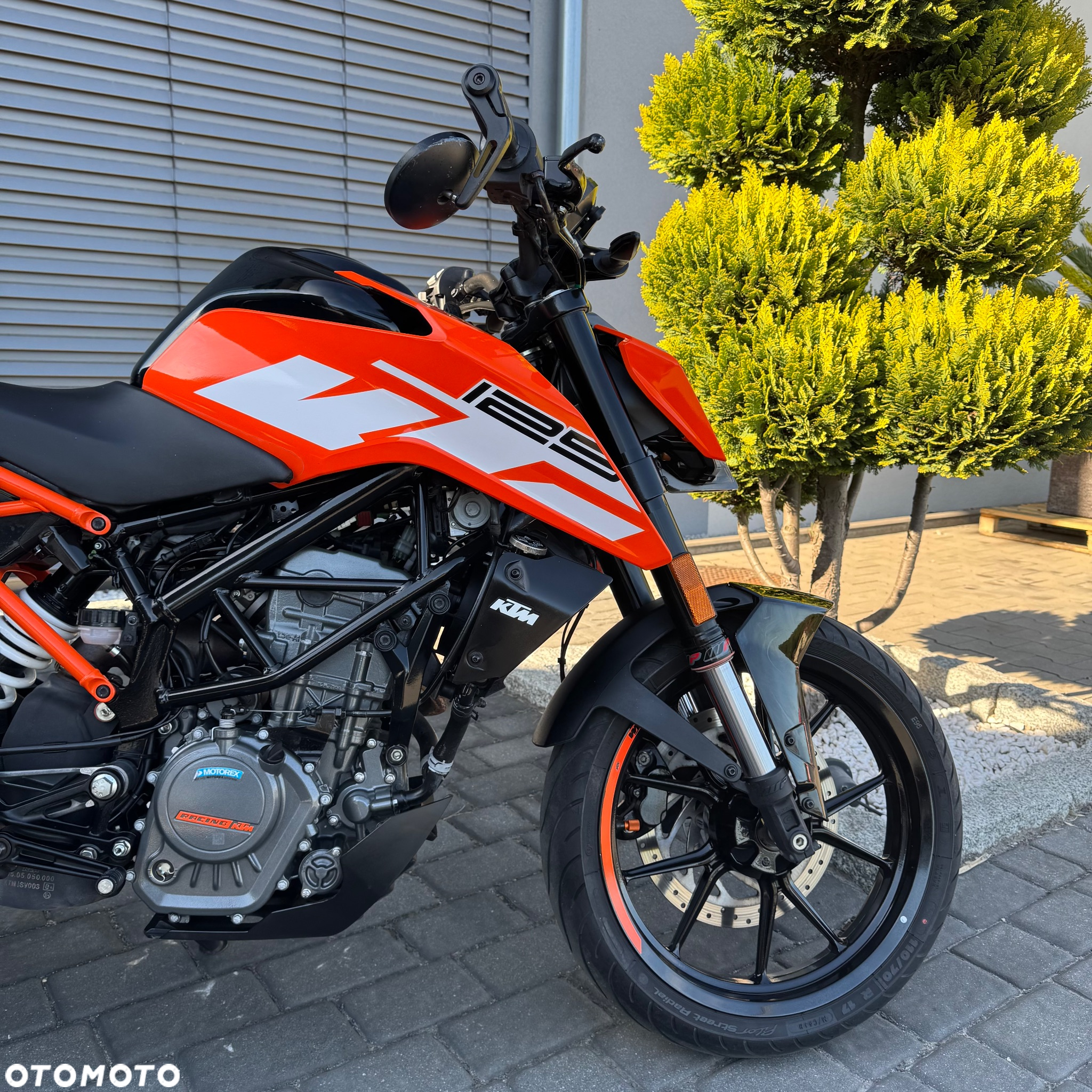 KTM Duke - 6