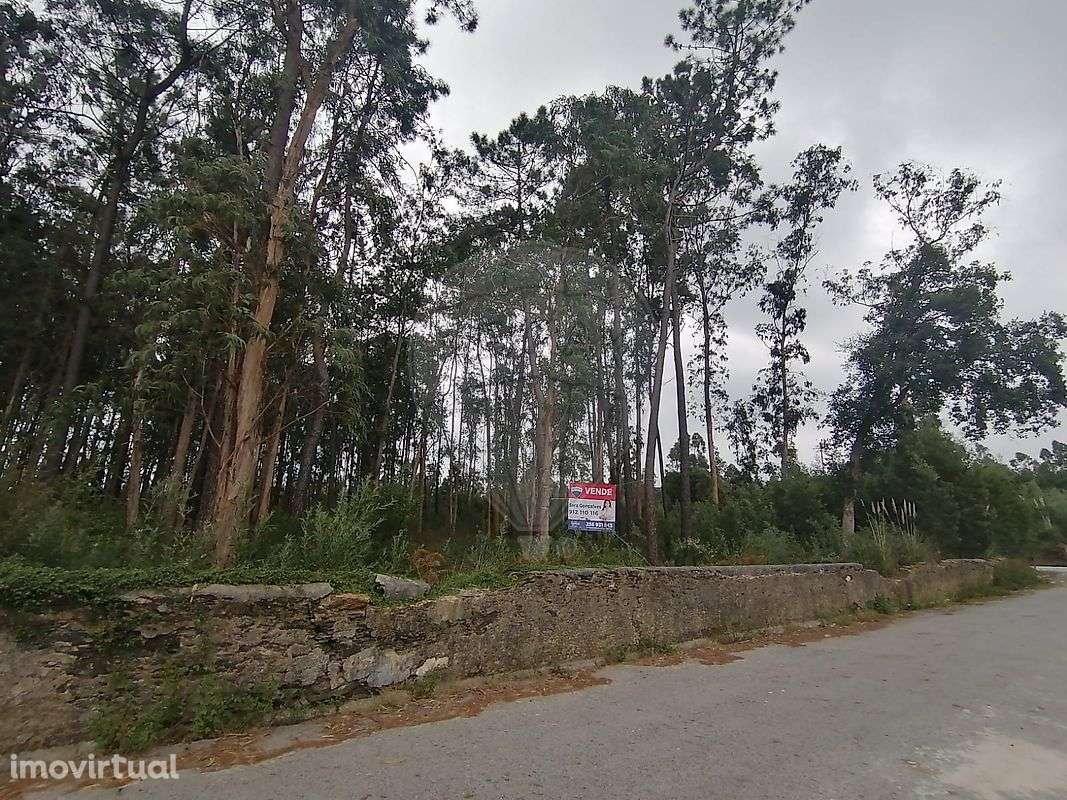 Terreno  para venda - Grande imagem: 3/7