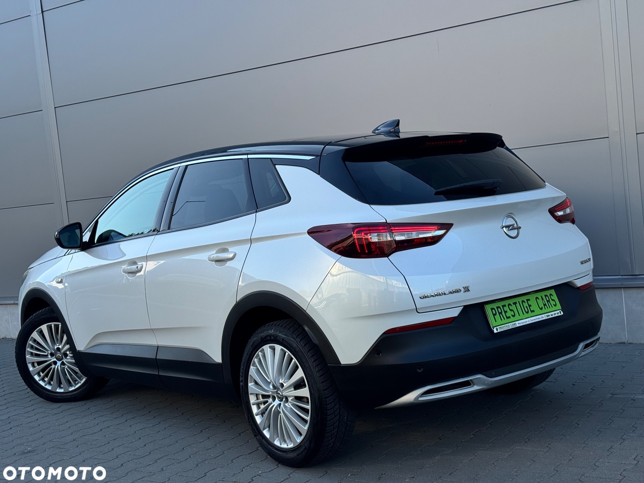 Opel Grandland X 1.6 CDTI Ultimate S&S - 13