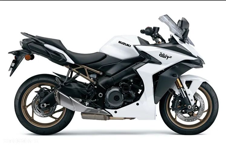 Suzuki GSX - 13
