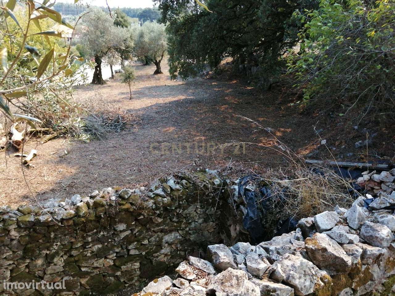 Ruína em Pedra - Oportunidade de Investimento em Abrã, Santarém. - Grande imagem: 5/44