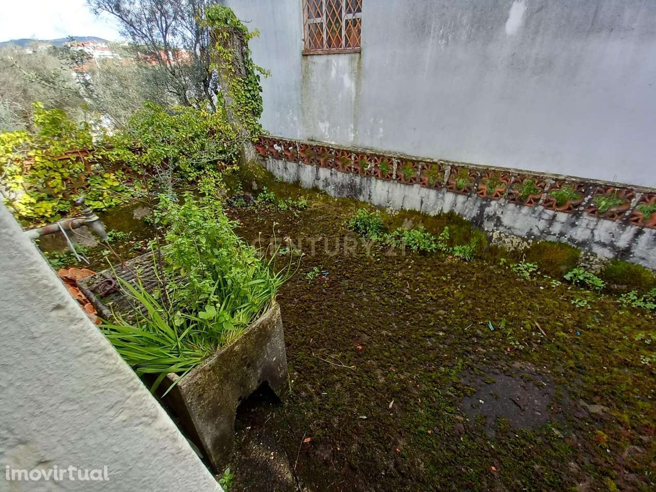 Moradia em Proença-a-Nova - Grande imagem: 5/17