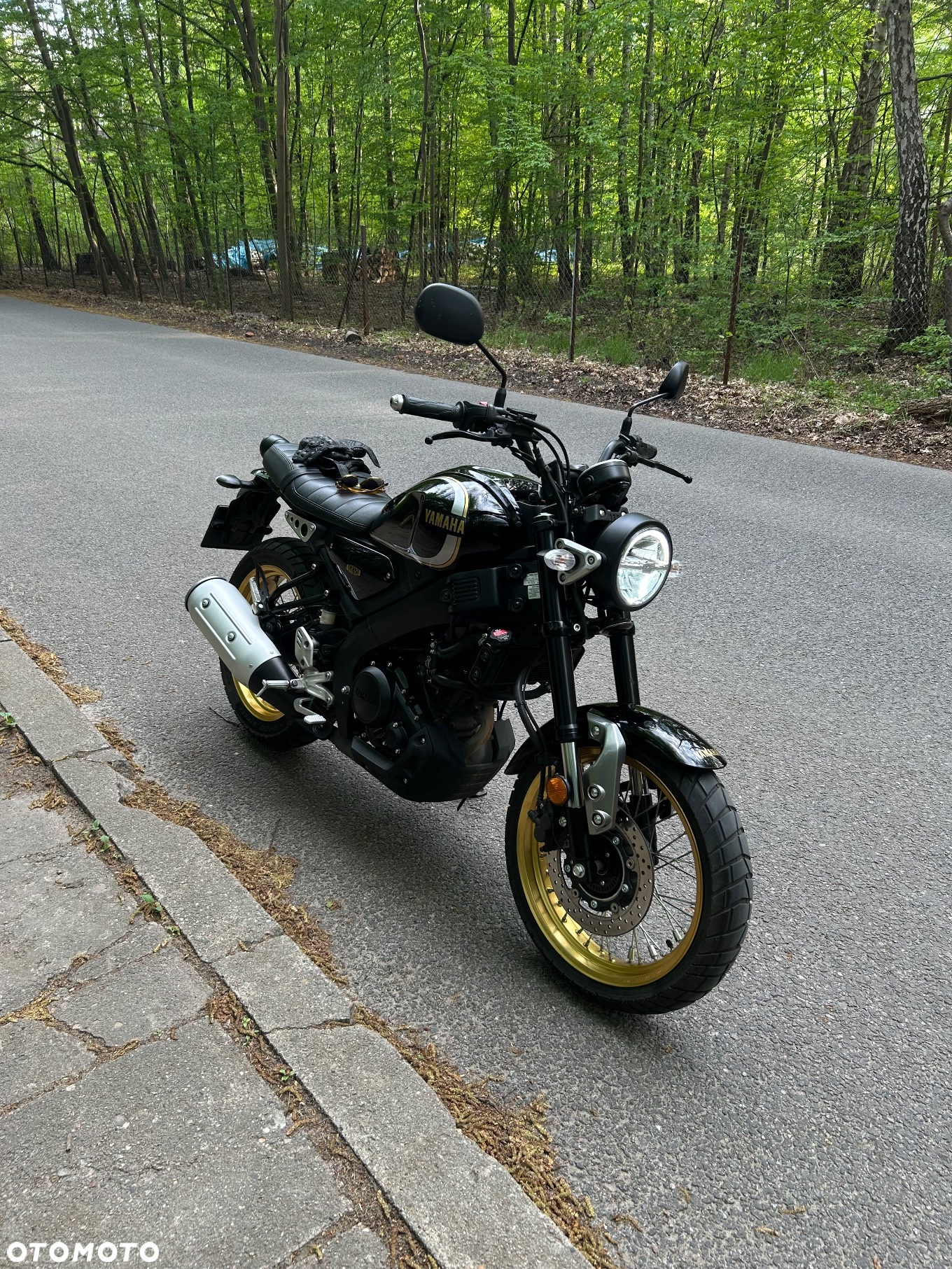 Yamaha XSR - 5