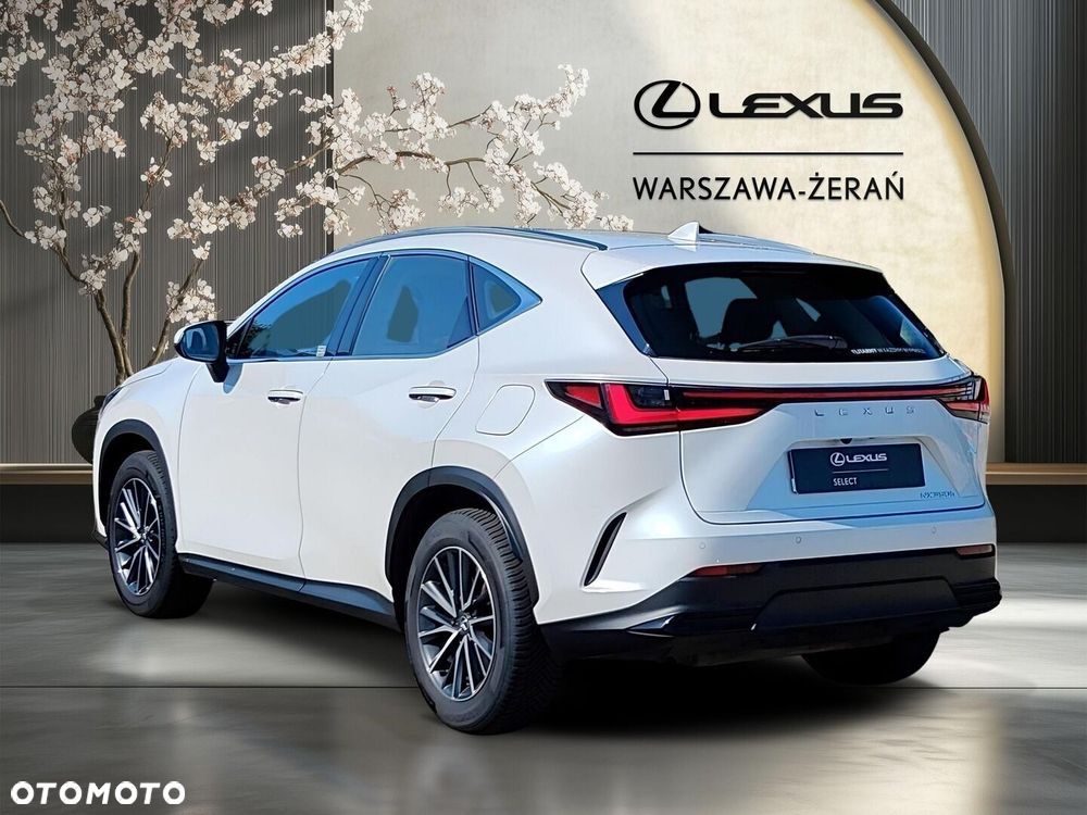 Lexus NX 350h Elegance 2WD - 5