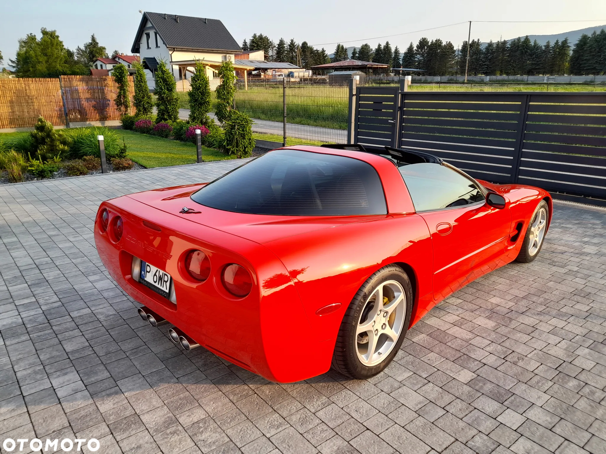 Chevrolet Corvette - 5