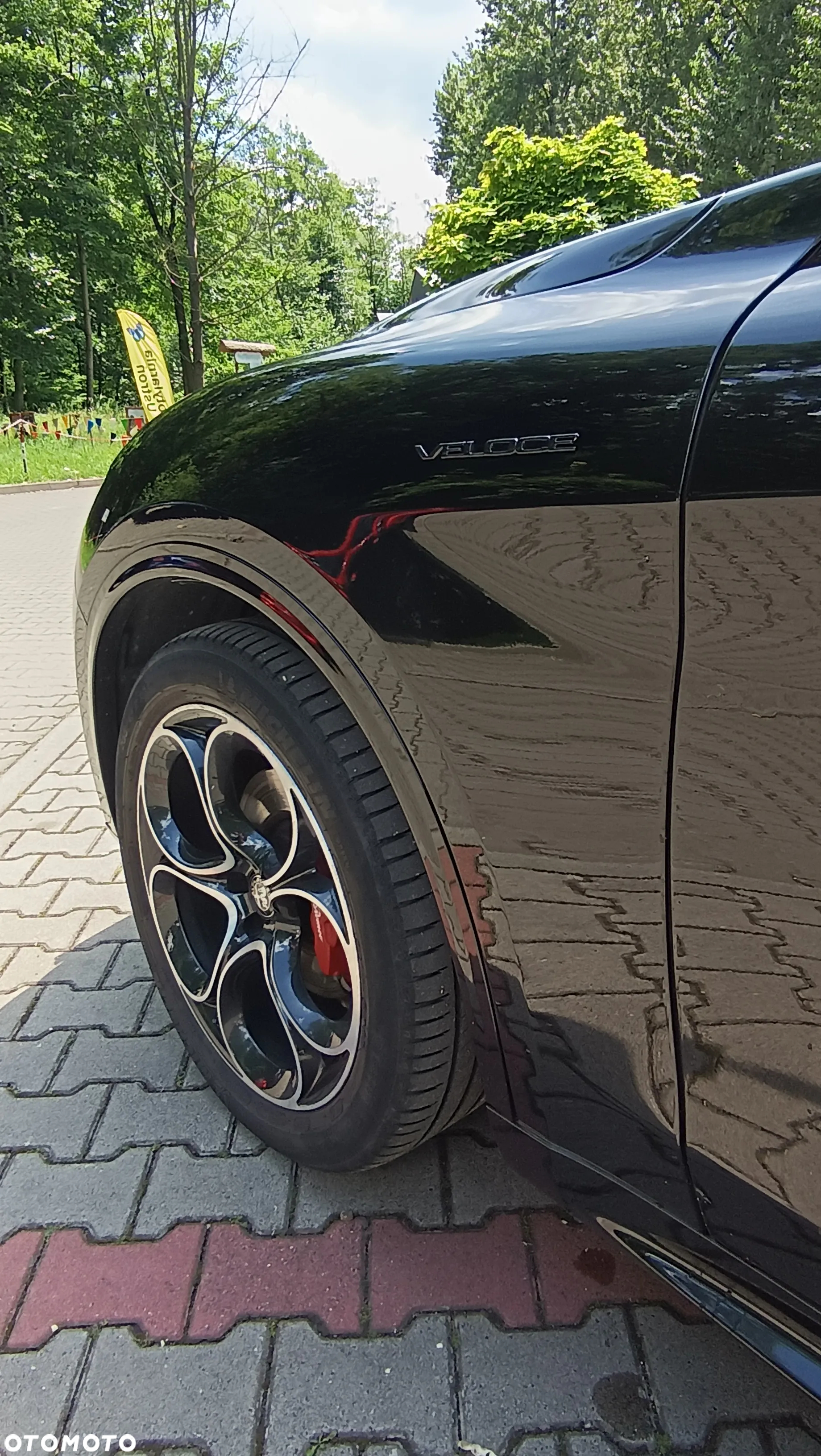 Alfa Romeo Stelvio 2.0 Turbo Veloce Q4 - 8