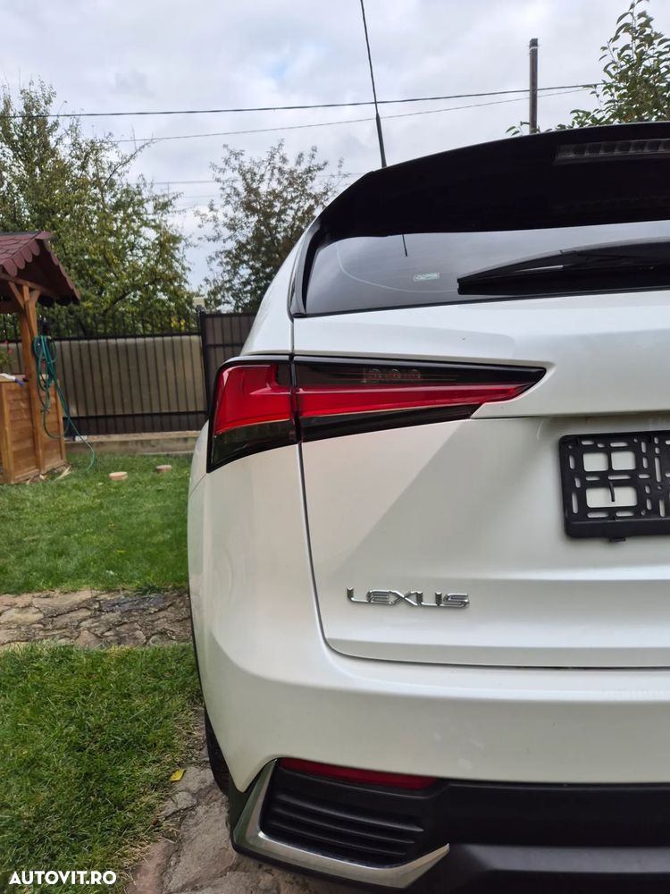 Lexus Seria NX - 17