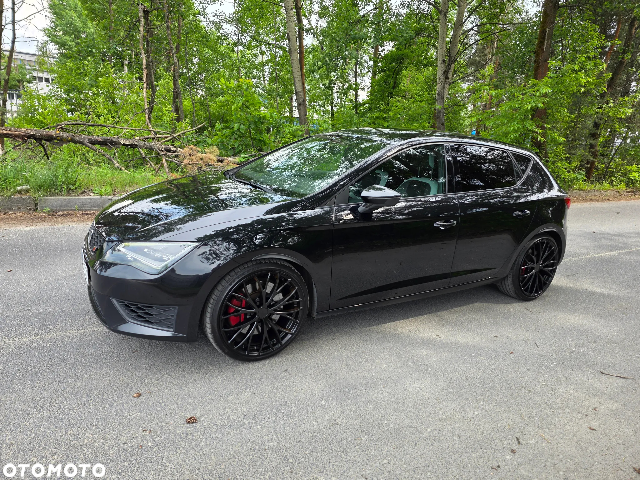 Seat Leon 2.0 TSI Cupra S&S - 6