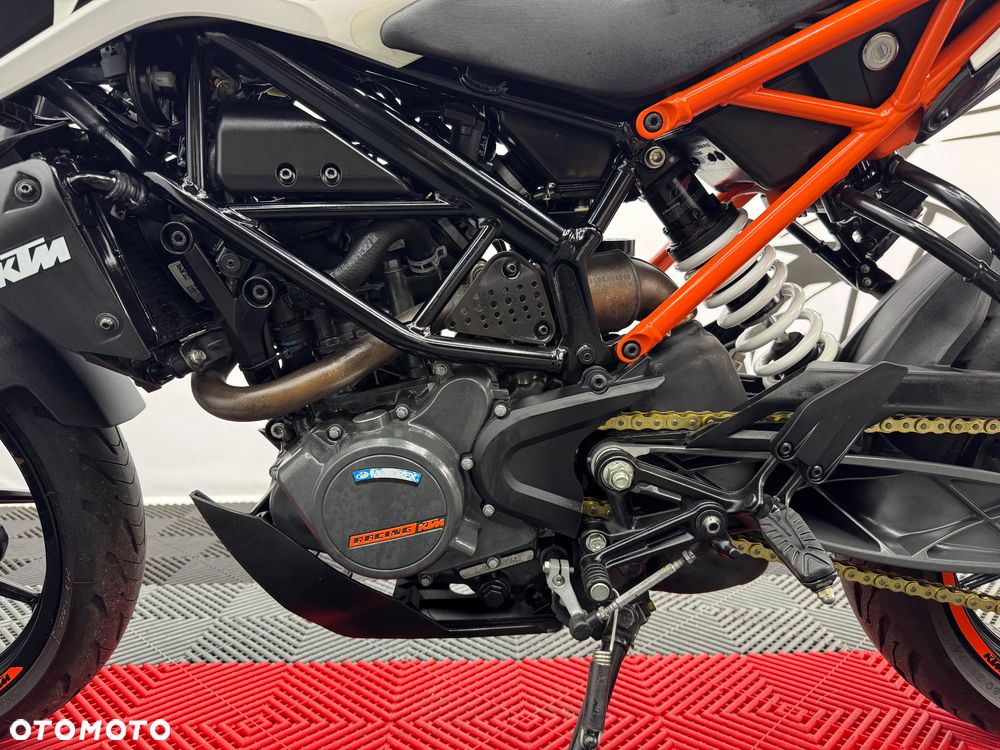 KTM Duke - 17